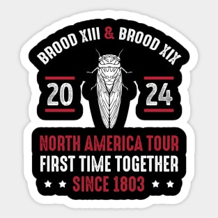 Cicada Swarm 2024 Brood XIII & XIX North America Tour 2024 Sticker